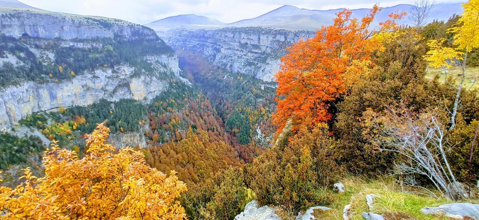 Belsierre Casa Pirinea Ordesa旅馆 外观 照片