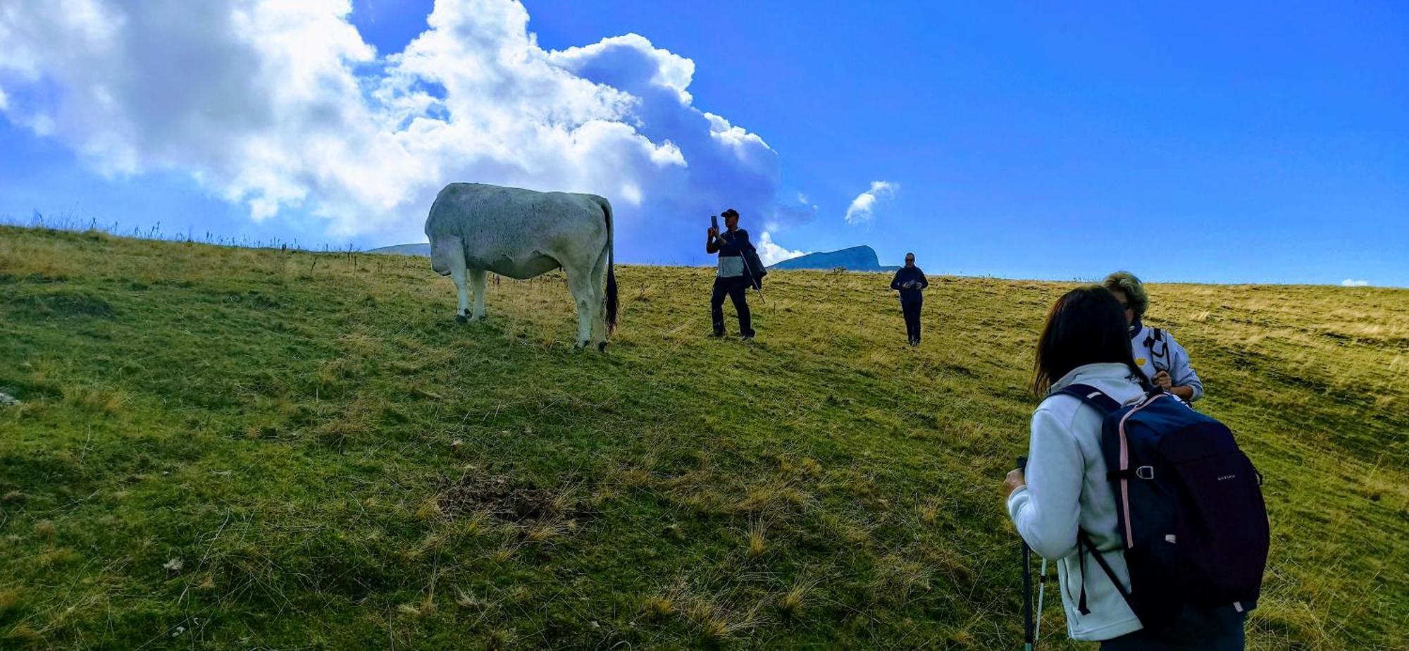 Belsierre Casa Pirinea Ordesa旅馆 外观 照片