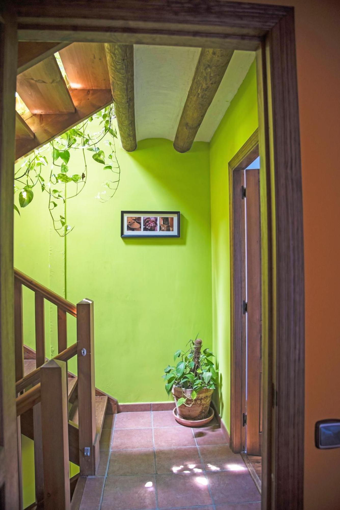 Belsierre Casa Pirinea Ordesa旅馆 外观 照片