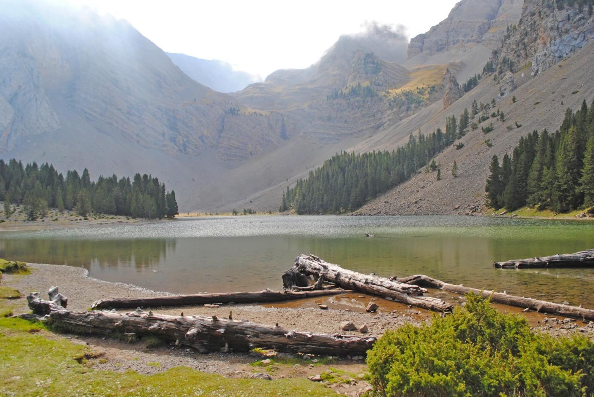 Belsierre Casa Pirinea Ordesa旅馆 外观 照片