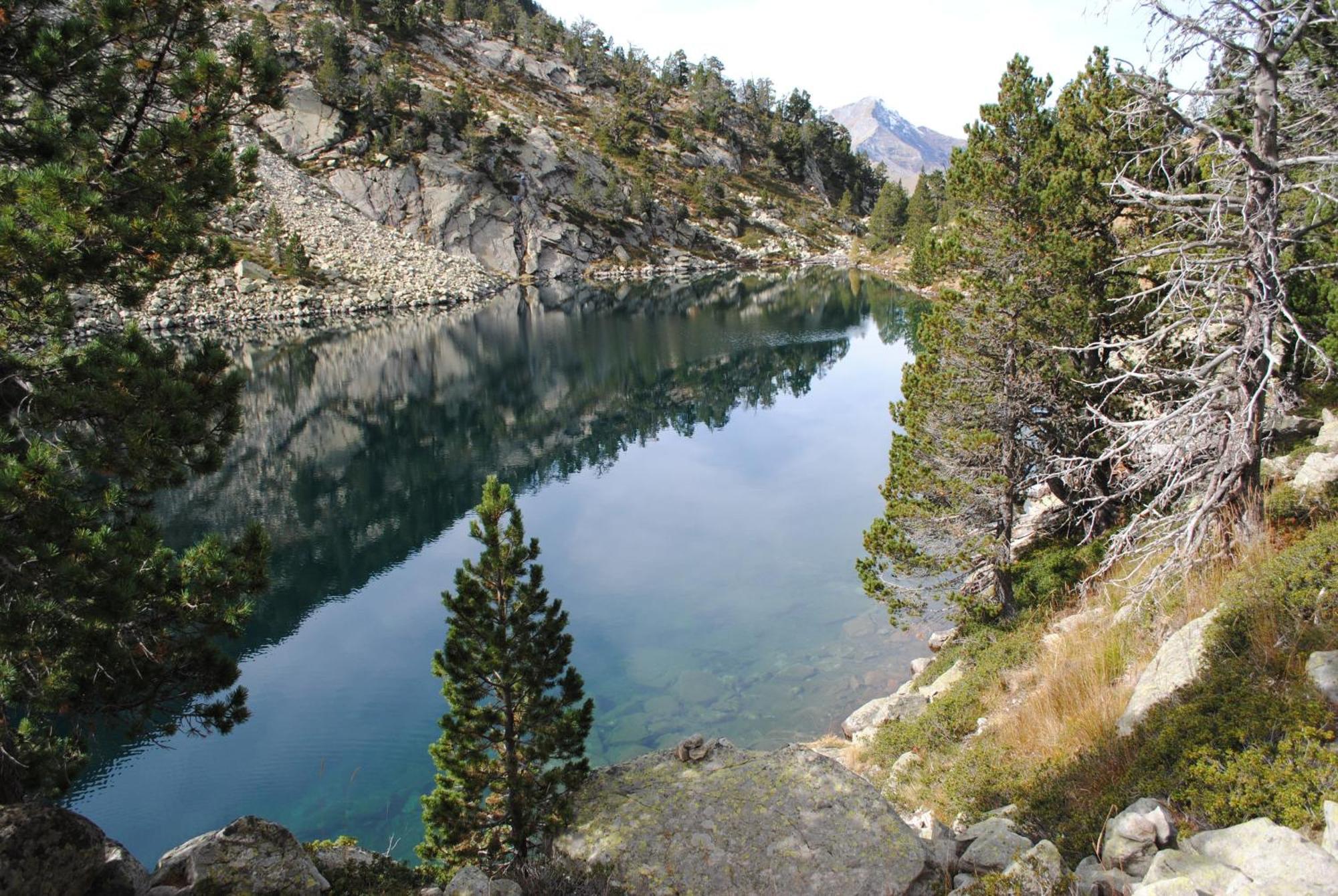 Belsierre Casa Pirinea Ordesa旅馆 外观 照片